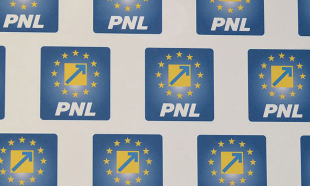 Rezoluție: PNL susține stabilitatea guvernamentală și Guvernul Ilie Bolojan - siglapnl-1774377000.webp
