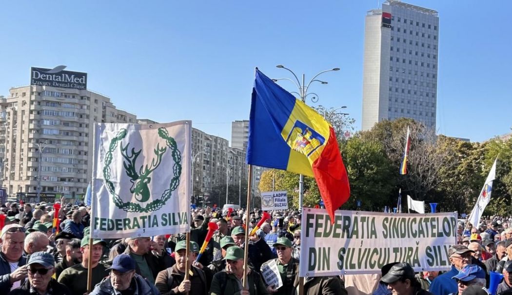 Silvicultorii protestează, miercuri, în faţa Ministerului Mediului și intră în grevă de avertisment
