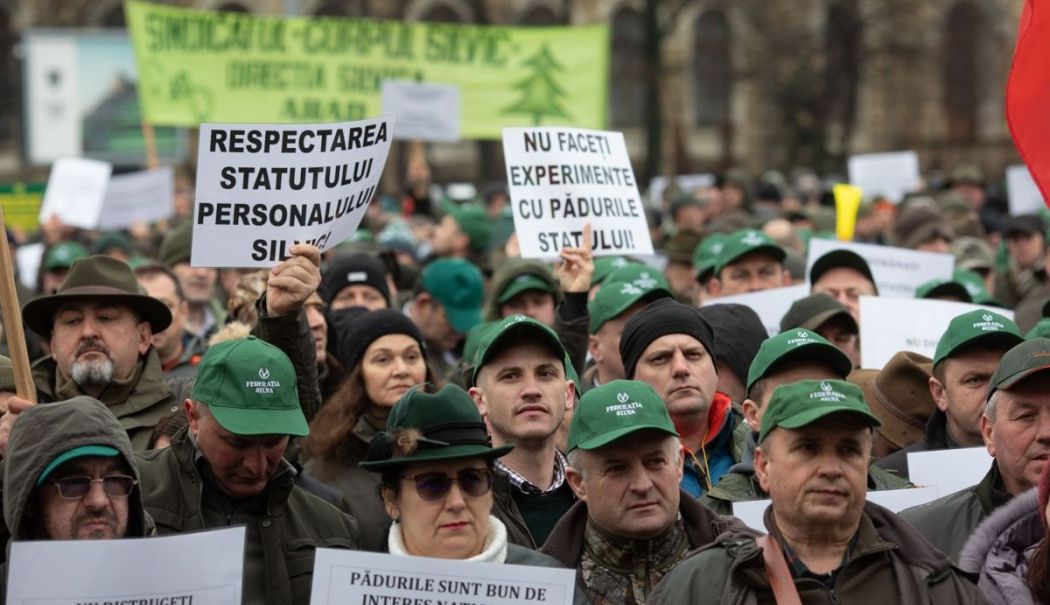 Sindicate: Noua lege a salarizării va conduce la reducerea cu 25% a veniturilor pentru mii de silvicultori - silvicultura-1780411645.webp