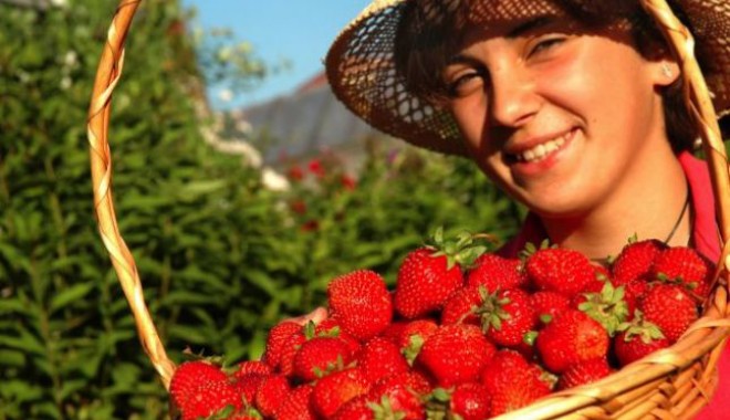 Dieta cu căpșuni de 7 zile - sitedietacapsuni-1401286716.jpg