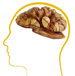 Ce efecte au alimentele în forma organelor corpului omenesc - siteefectealimente-1396361334.jpg