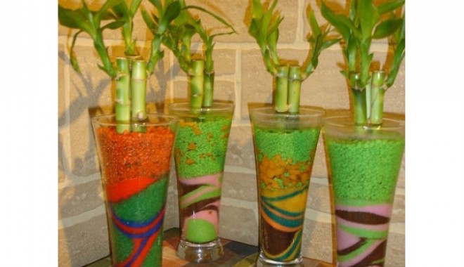 Ce plante absorb mirosurile și toxinele din casă - siteplantemirosuri-1411307823.jpg