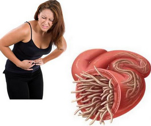 Așa pui pe fugă viermii intestinali - sitepuipefugaviermi-1400772575.jpg
