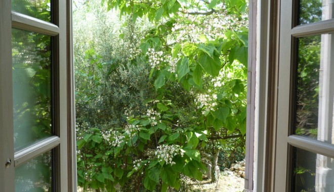 Soluții naturale pentru un aer curat în casă - sitesolutiinataer-1404307864.jpg