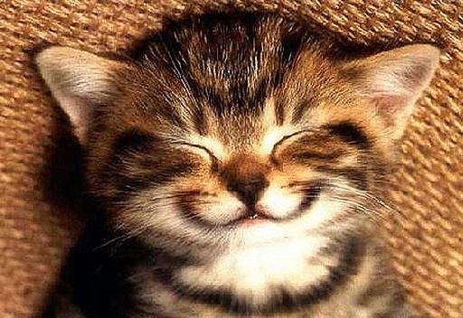 BANCURI - smile-1320443136.jpg