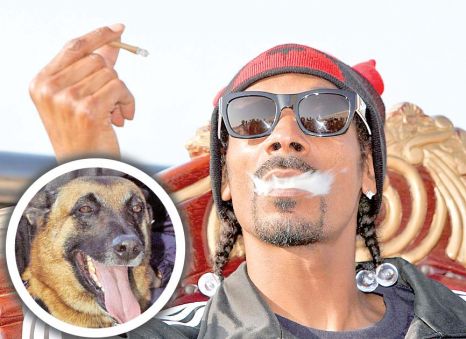 Snoop Dogg, arestat de un …câine polițist! - snoopie-1326229531.jpg