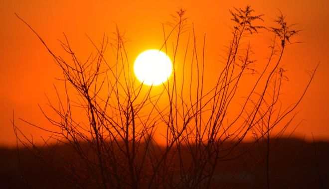 2019 a fost cel mai călduros an din istoria înregistrărilor meteorologice din Europa - soare-1587561369.jpg