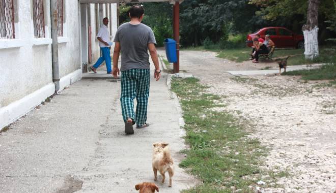 Caz șocant la Constanța.  A sunat la serviciu  și a anunțat  că și-a spânzurat copilul - socant-1444722972.jpg