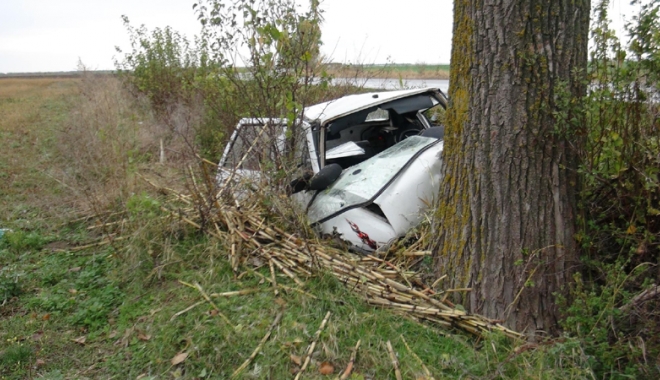 Grav accident rutier. Șoferul, de doar 25 de ani, a murit - soferdecedat-1480867963.jpg