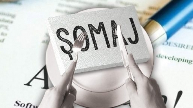 Mii de șomeri au fost angajați în urma Bursei locurilor de muncă - somaj89675200-1543931763.jpg