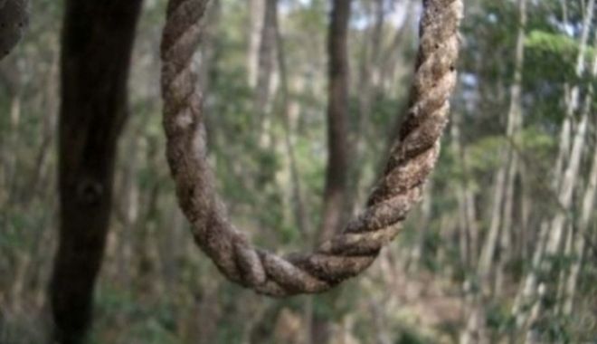 ALERTĂ! O femeie a fost găsită SPÂNZURATĂ în pădurea de la Basarabi - spanzurat2-1668328491.jpg