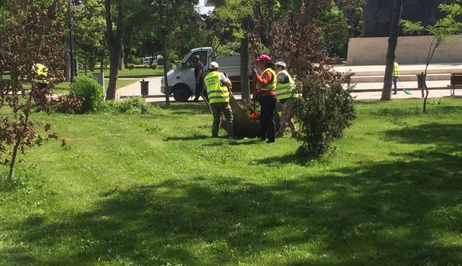Cartierele Constanței, igienizate! - spatiiverzi4-1558529755.jpg