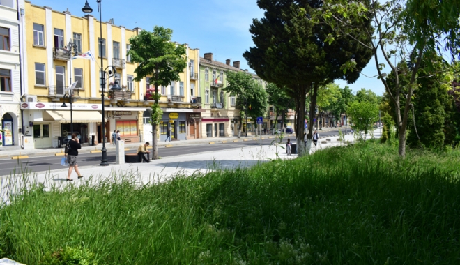 S-au apucat de treabă. Primăria Constanța face curățenie și montează coșuri de gunoi - spatiuverdebulevardultomis4-1496937437.jpg