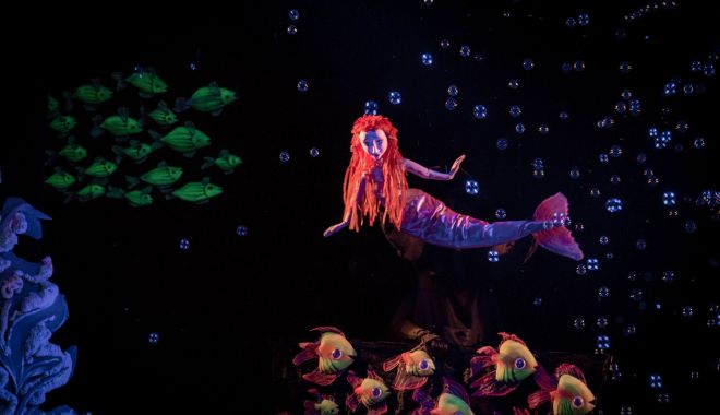 Spectacole suspendate la Teatrul „Căluţul de mare” - spectacole-1604405370.jpg
