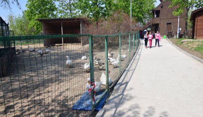 Spiriduşii lui Moş Crăciun ajung şi la Microrezervaţia din Constanţa - spiridusi3-1671027279.jpg