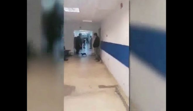 Pisicile CAD DIN TAVAN la Spitalul Județean Constanța. Una a ajuns chiar pe fața unui pacient - spital-1578064592.jpg