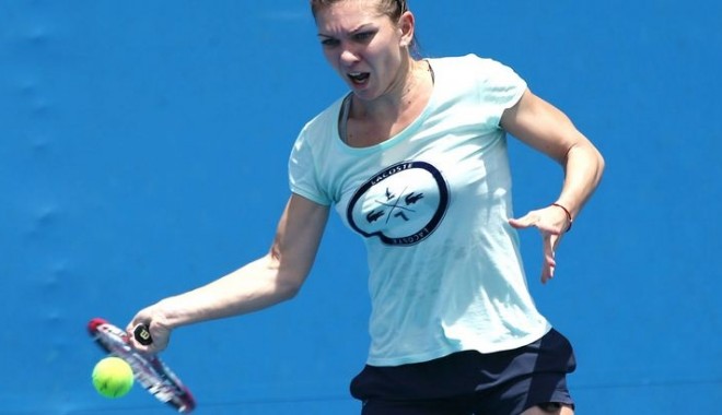 Tenis: Simona Halep, nominalizată la Fed Cup Heart Awards 2014 - sportrecenthalep0403-1393920874.jpg