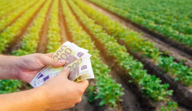 Sprijin de peste un miliard de lei pentru fermierii din sectoarele vegetal și zootehnic - sprijindepeste1miliarddeleipentr-1646326637.jpg