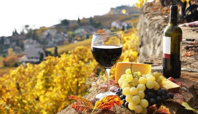 Sprijin european pentru producătorii de vin - sprijineuropeanpentruproducatori-1606152295.jpg