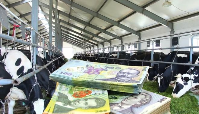 Sprijin financiar de peste 26 de milioane de lei pentru crescătorii de animale - sprijinfinanciardepeste26demilio-1662735446.jpg