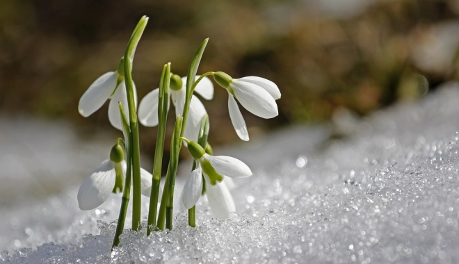 PROGNOZA METEO PE TREI LUNI. Iată când vine primăvara și cum o să fie vremea de Paște - spring1166564960720-1484984116.jpg