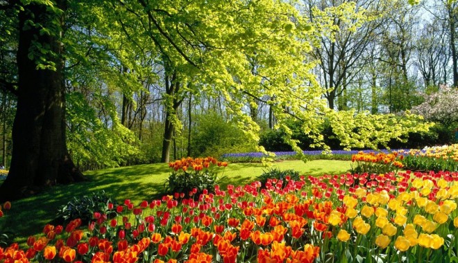 Află cum va fi vremea primăvara aceasta. Ce spun meteorologii - springpark1280x960-1329824842.jpg