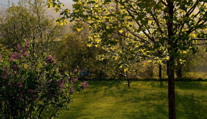 Cum va fi vremea săptămâna aceasta - springrain-1336323469.jpg