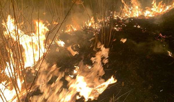 Pompierii au acționat 5 ore pentru stingerea unui incendiu de vegetație - ss-1585388474.jpg