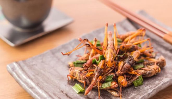 Liber la consumul de insecte în UE! Decizia va fi luată în următoarele săptămâni - ss-1585990527.jpg