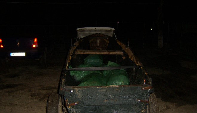 Plase de pescuit și pește, confiscate - sta50042-1366021856.jpg