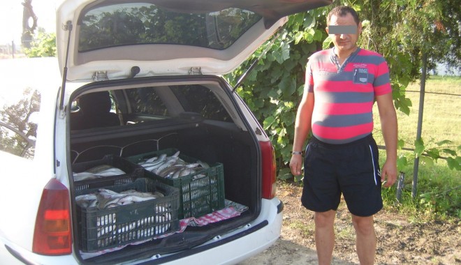 85 kilograme de pește confiscate la Midia - sta50115-1375788816.jpg
