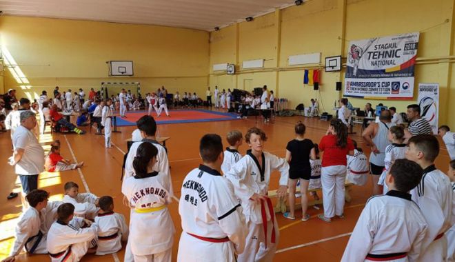 Stagii de pregătire și competiții de Taekwondo, la Eforie Sud - stagii-1533223478.jpg