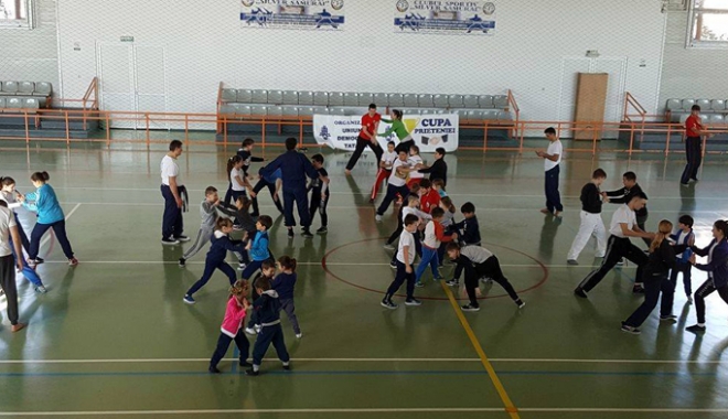 Stagiu de pregătire în Kung-Fu, la Medgidia - stagiu-1486663373.jpg