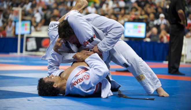 Stagiu internațional de Ju-Jitsu, stilul 