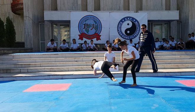 Stagiu de Kung-Fu, la sala 