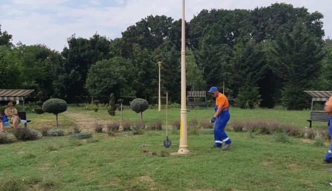 Stâlpii de iluminat din Parcul Tăbăcărie, în revizie generală - stalpiideiluminat-1626888689.jpg