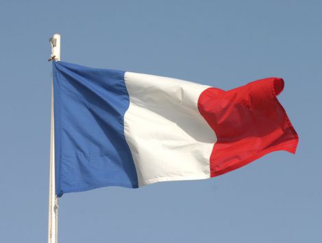 APIA vrea să ia exemple de bune practici de la francezi - steag-1372160830.jpg