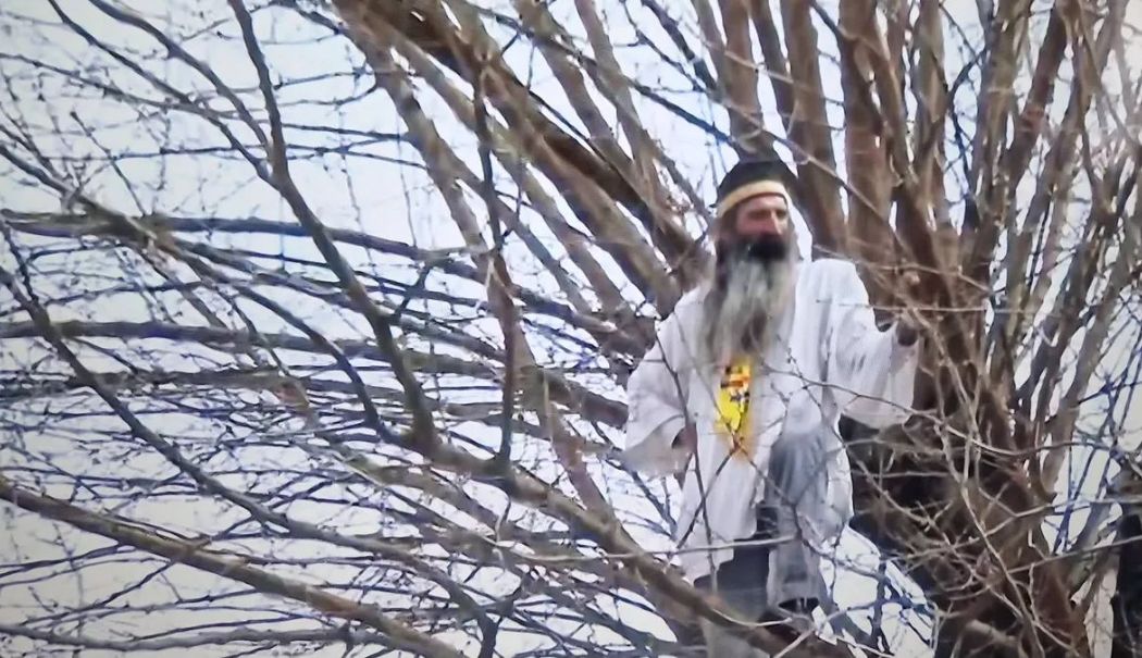 “Stegarul dac” a renunțat la protestul din copac după 24 de ore - stegarul-dac-1742907145.jpg