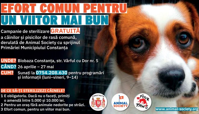 De azi, începe campania GRATUITĂ de sterilizare a animalelor, la Constanţa