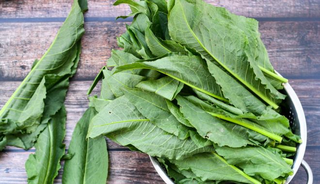 Ştevia are proprietăţi depurative şi ajută la detoxifierea organismului - stevia-1684931052.jpg