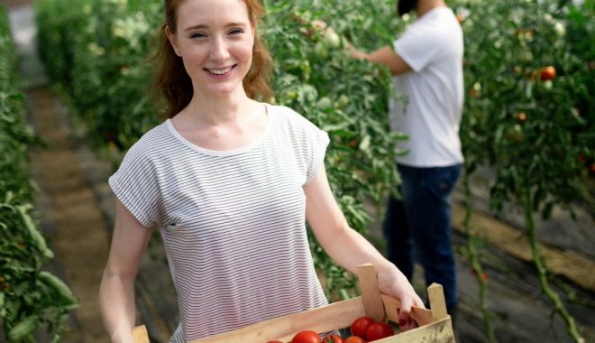 Stimulente pentru angajarea tinerilor în agricultură, acvacultură și industria alimentară - stimulentepentruangajareatineril-1588263342.jpg