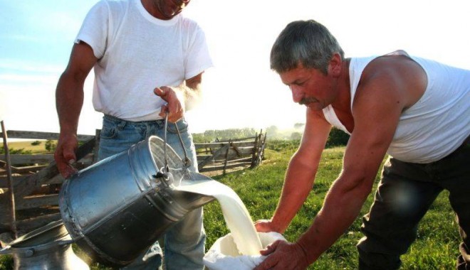 Producătorii de lapte de vacă pot depune cererile de plată pentru ajutoare până pe 20 septembrie - strecurarealaptelui03bc51711c49-1314702796.jpg