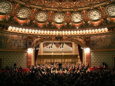 Studenții, acces gratuit la teatre și muzee - studentiipungovschi-1446580301.jpg