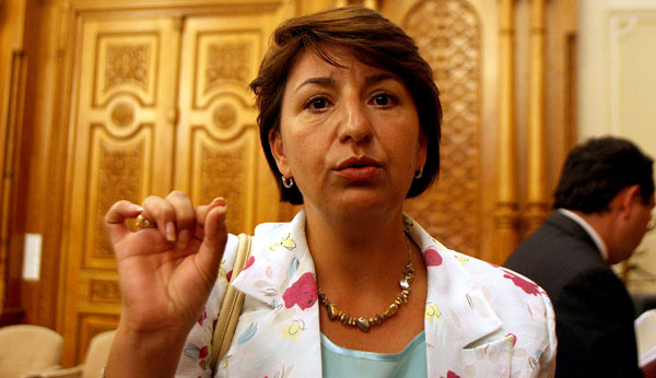 Reorganizarea teritorială se impune în perspectiva comasării alegerilor din 2012 - sulfinabarbugabrielpetrescu-1315760238.jpg