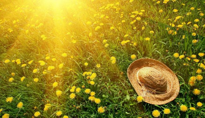 Vânt și maxime de 27 de grade Celsius, la Constanța - summersun12-1533807252.jpg