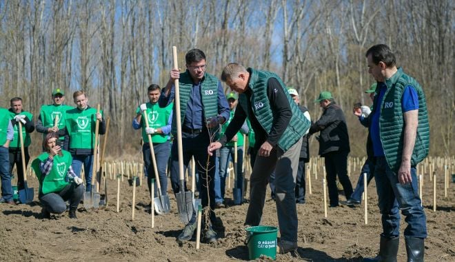 Suprafața împădurită a României e în ușoară creștere - suprafataimpadurita-1622464843.jpg