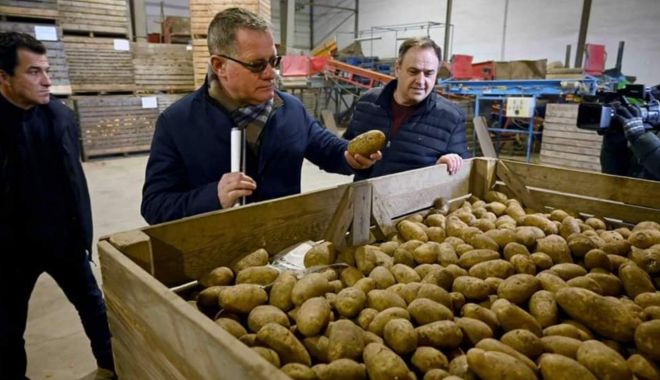 Dispare cartoful românesc? Cultivatorii au redus drastic suprafeţele - sus-1614103769.jpg