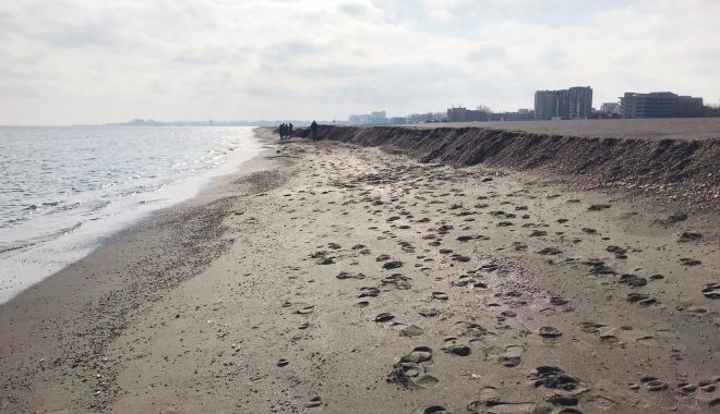 Plaja din Mamaia, înghiţită de valuri. „Se micşorează zona de nisip şi creşte cea de îmbăiere!” - sus-1639163822.jpg