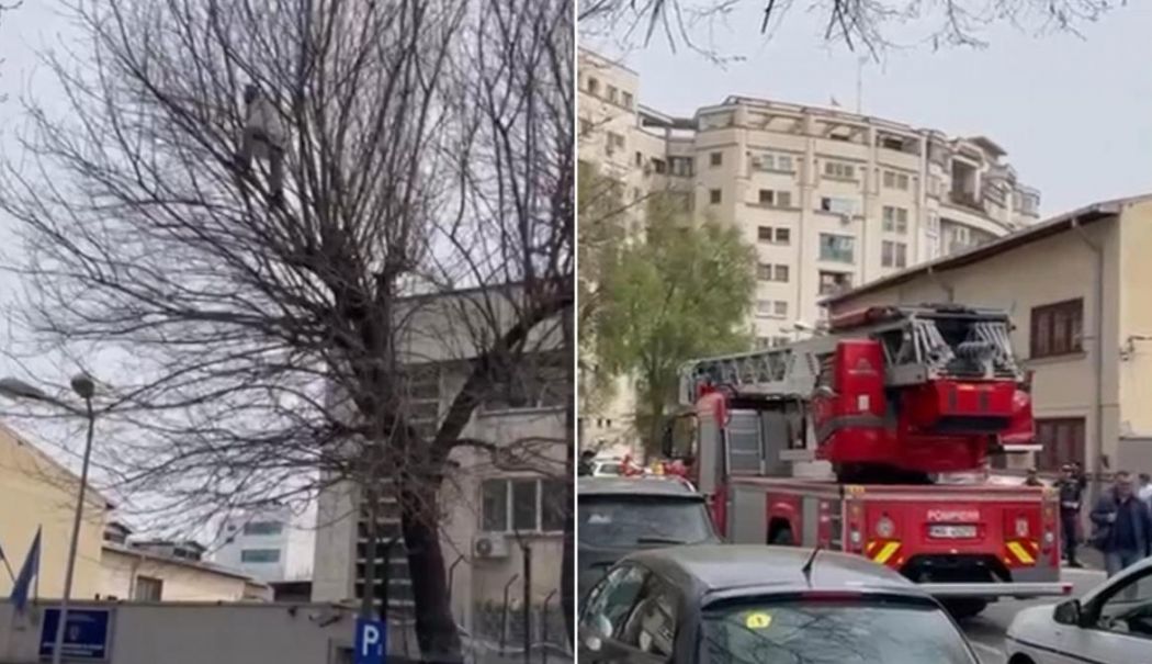 Susținătorii lui Călin Georgescu s-au urcat în copacii de la arestul central și protestează pentru Bogdan Peșchir - sustinatoriiluicalingeorgescusau-1742814206.jpg