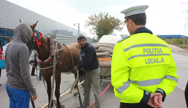 Sute de căruțași, amendați de polițiștii locali, în Constanța - sutedecarutasi2-1507127472.jpg
